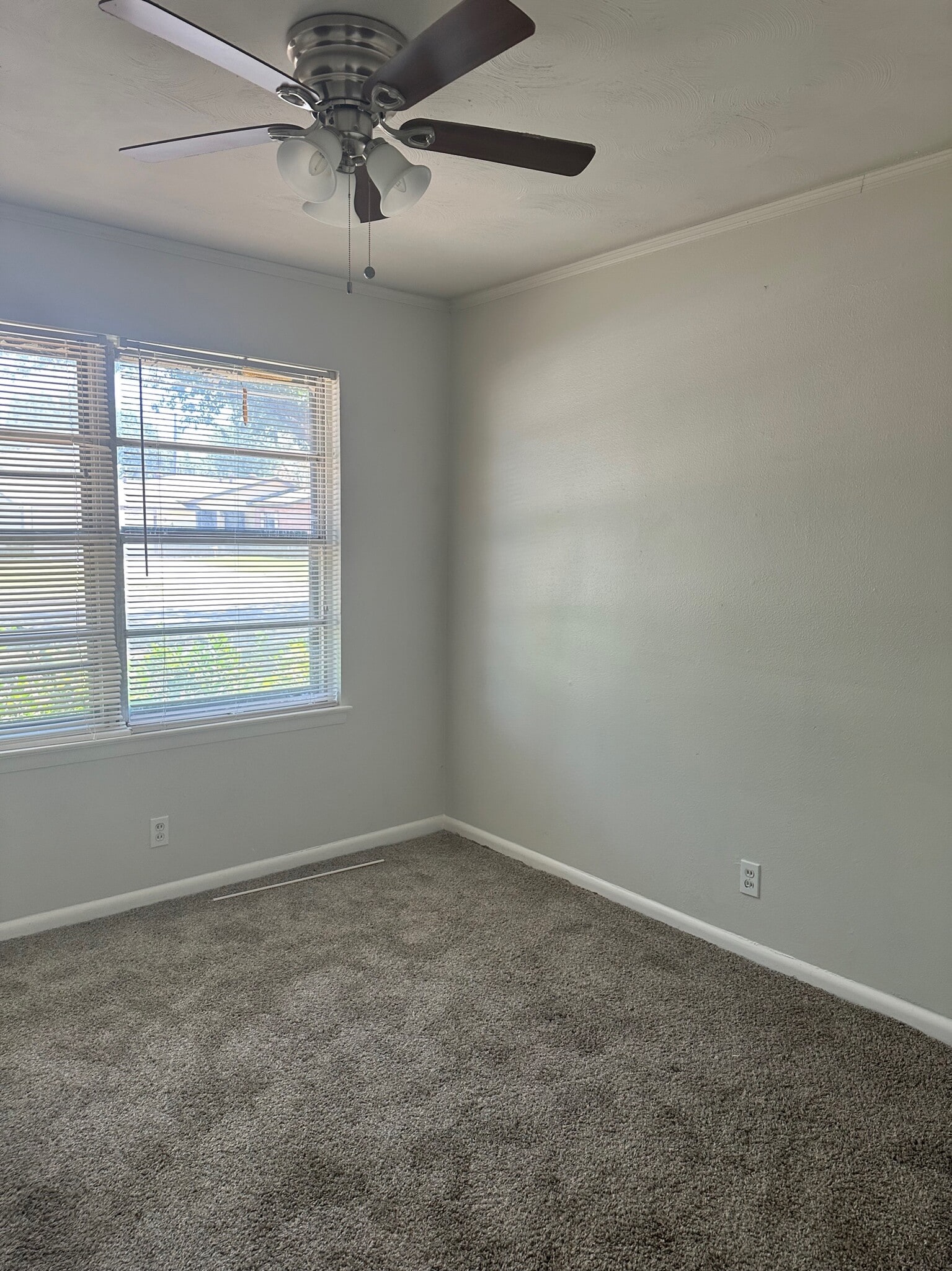 Building Photo - 3401 Princeton Dr