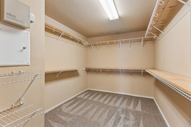 Building Photo - 3400 Trickling Springs Way