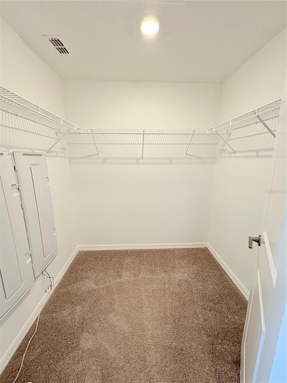 Building Photo - 32121 Powderpuff Mimosa Dr