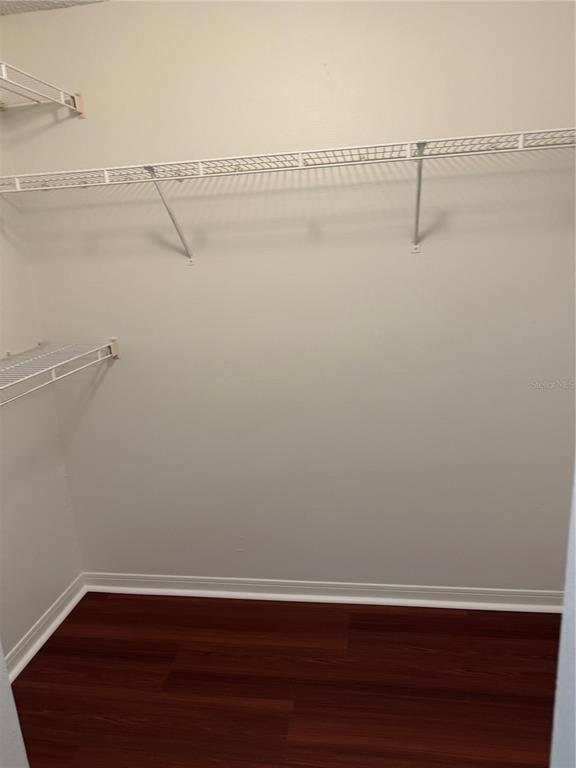 Building Photo - 2516 Grassy Point Dr
