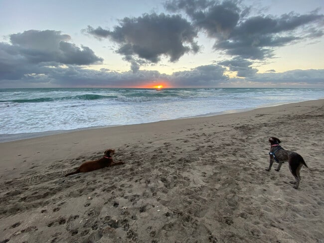 Building Photo - 1456 NE Ocean Blvd