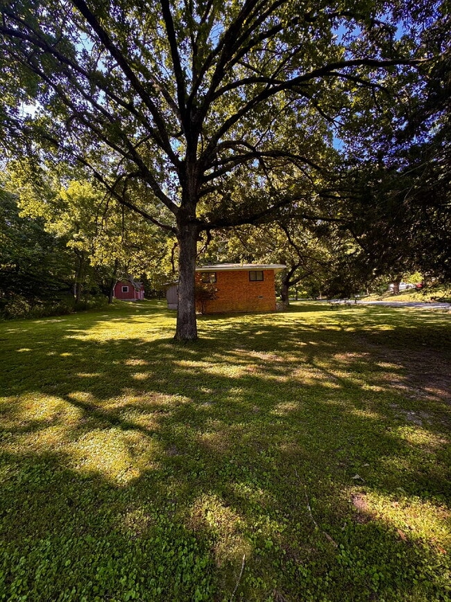 Building Photo - 9108 Bluff Dr