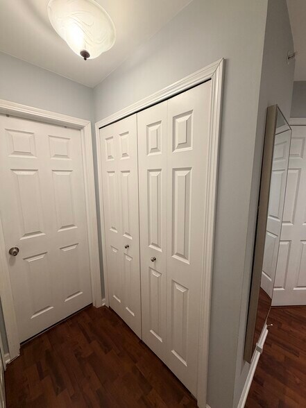 Two closets in master room - 172 N East River Rd