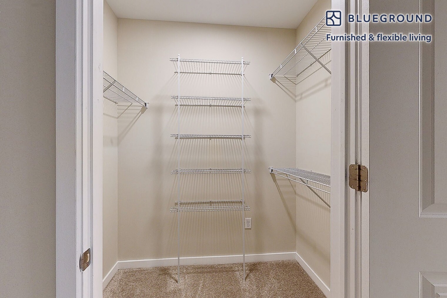 Building Photo - 79 Alexander St