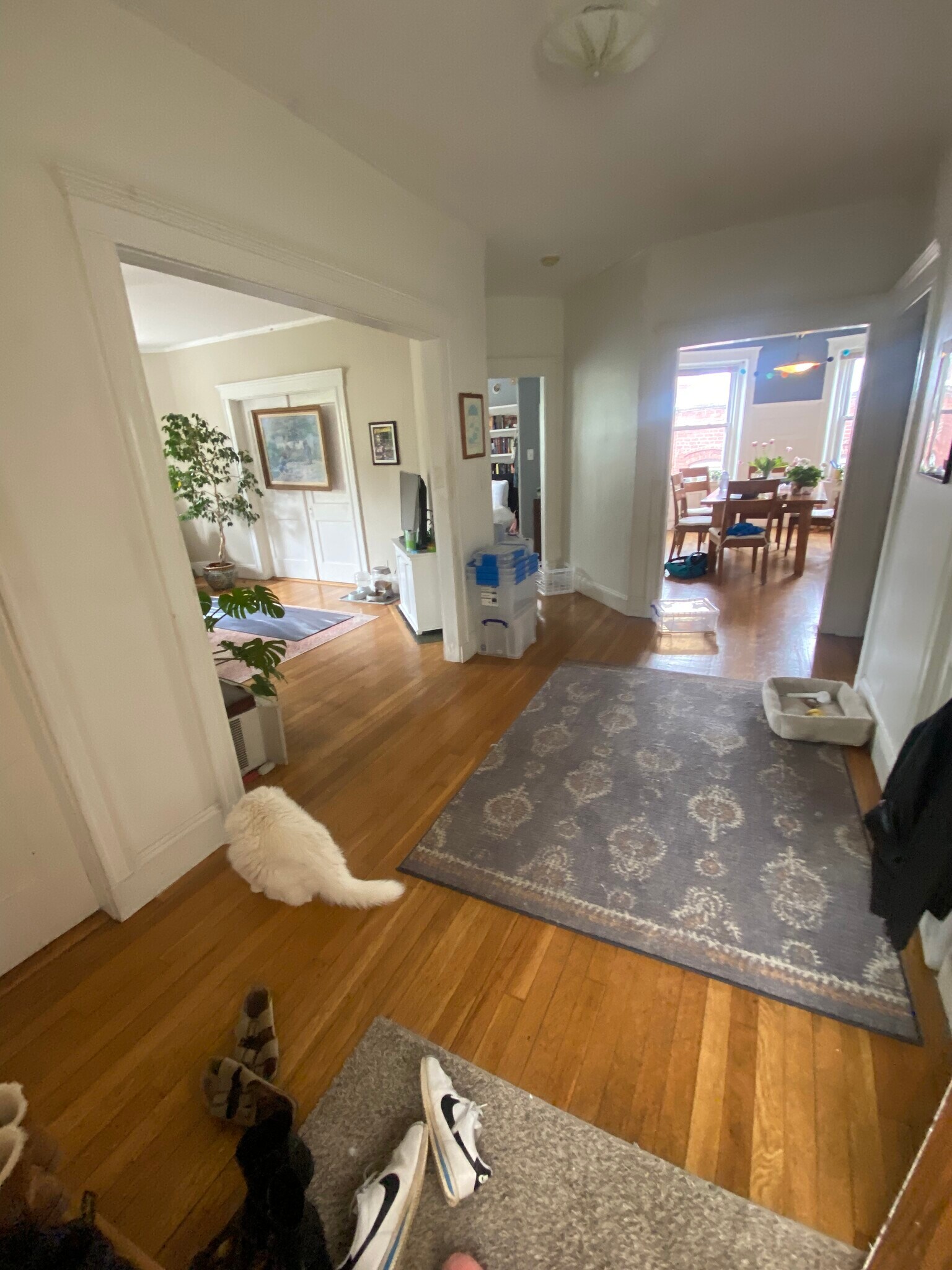 Building Photo - 187 Winthrop Rd