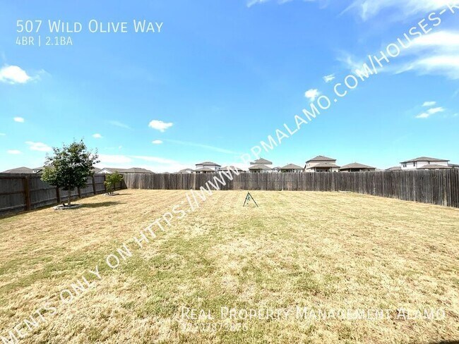 Building Photo - 507 Wild Olive Wy