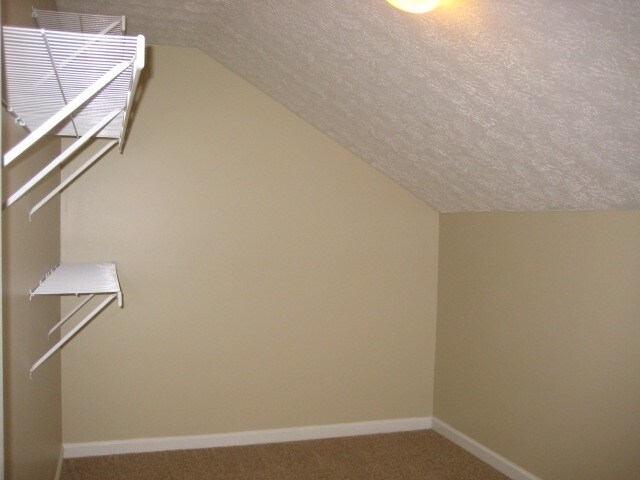 Building Photo - 804 Tunewood Ct