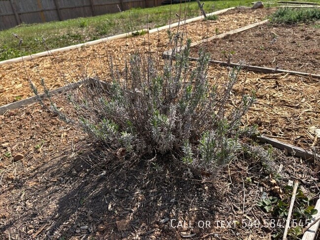 Building Photo - 3615 Ellen Dr