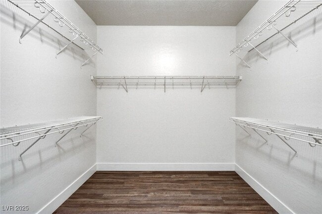 Building Photo - 2320 Meteor Shower St