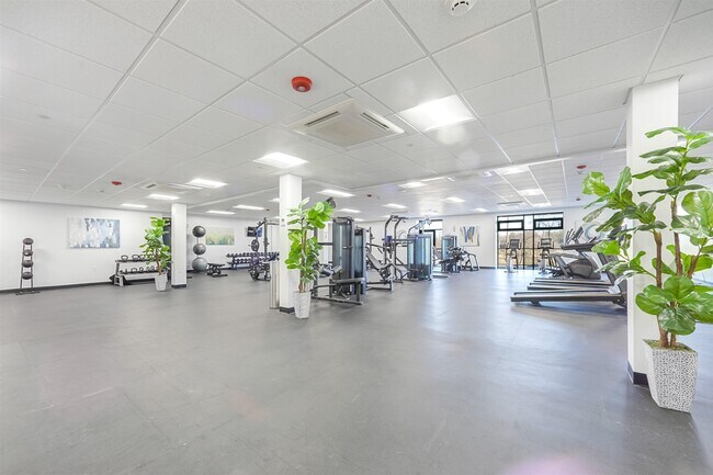 Building Photo - 520 Belleville Ave