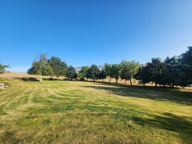 Building Photo - Panoramic Rattlesnake Hills View Home on N...