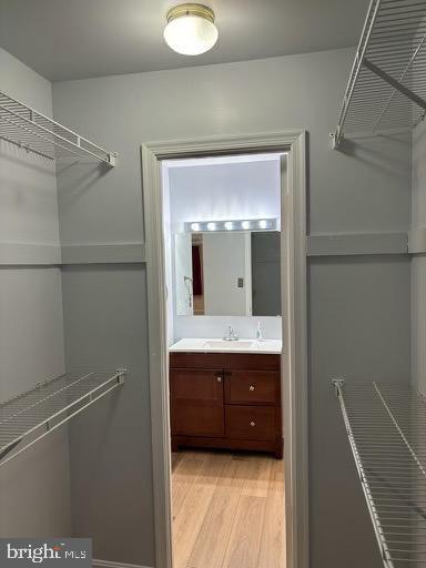 Building Photo - 6803 Wild Rose Ct