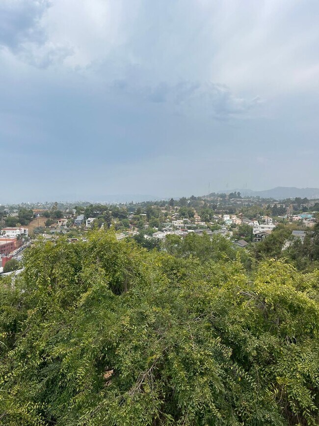 Building Photo - 1649 Sargent Pl