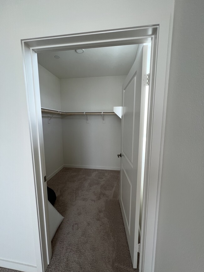 Walk in Closet - 11019 Aspire Dr