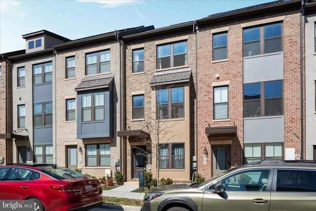 Building Photo - 3538 Stella Blue Dr