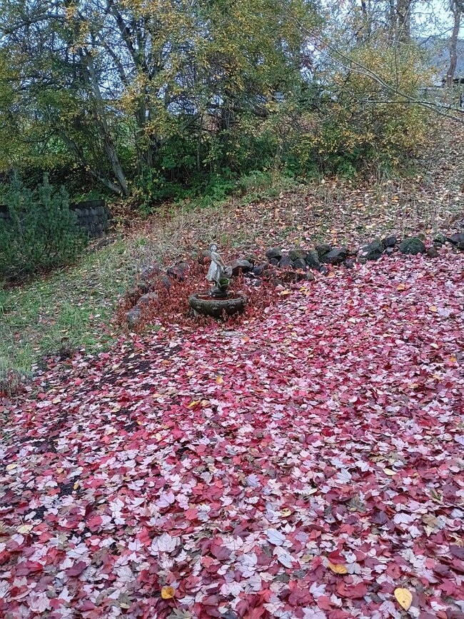 Building Photo - Beautiful Townhouse in West Salem is Ready For You!