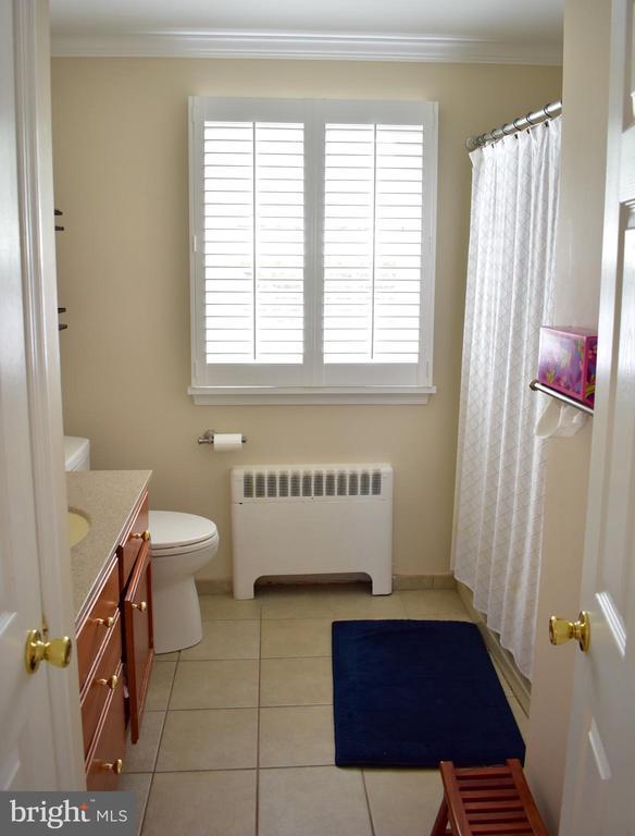 Building Photo - 937 N Hill Dr