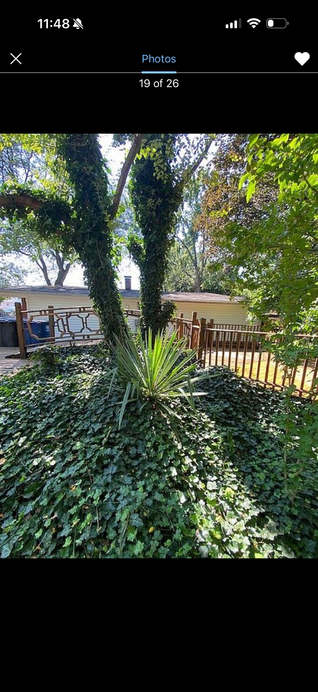 Building Photo - 7505 Affeldt St