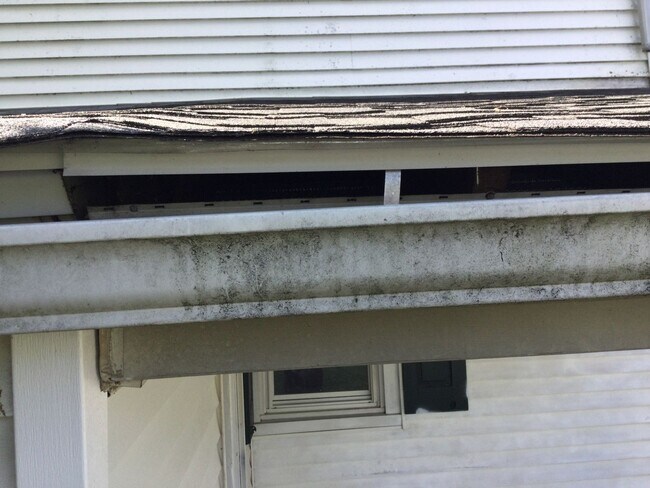 Building Photo - 209 W Frederick St