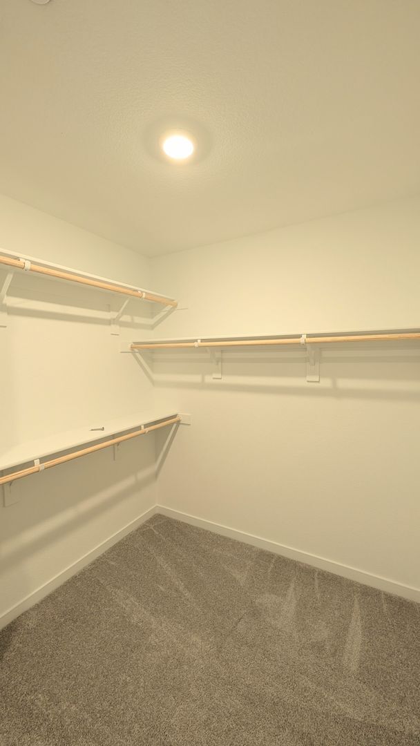 Building Photo - Brand New Single Family Home