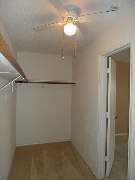 Building Photo - 5225 Newcastle Ln