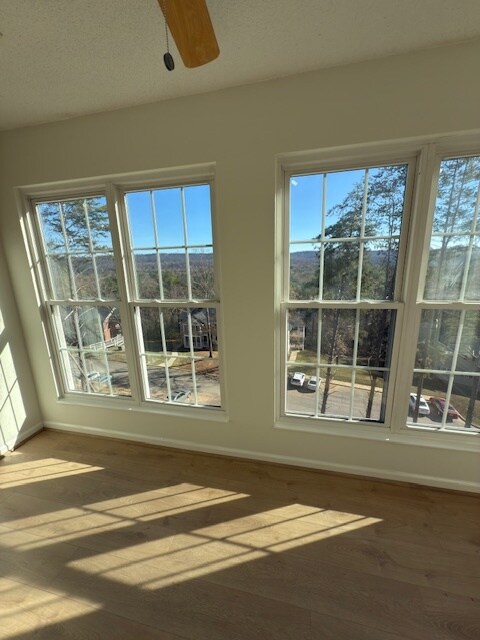 Building Photo - 303 Morning Sun Dr