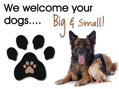 Building Photo - 161 Union Ave NE