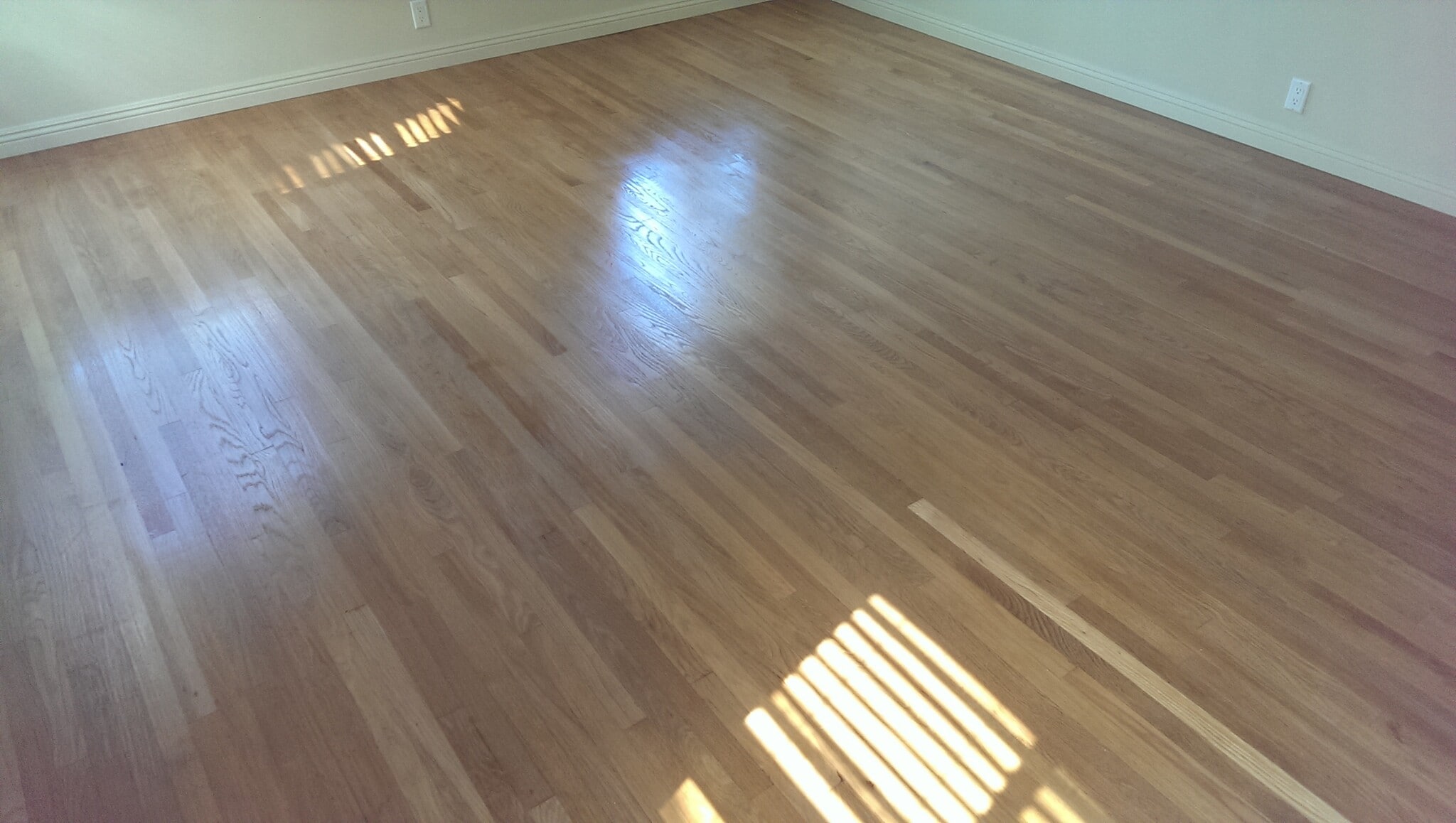 Primary Bedroom - 1226 S Longwood Ave