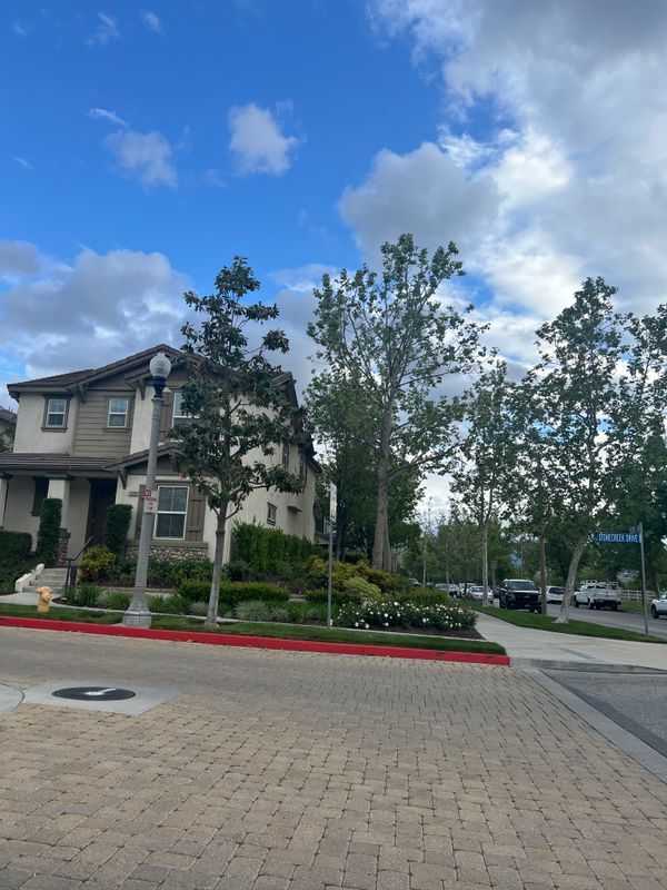 Building Photo - 24098 Stone Creek Dr