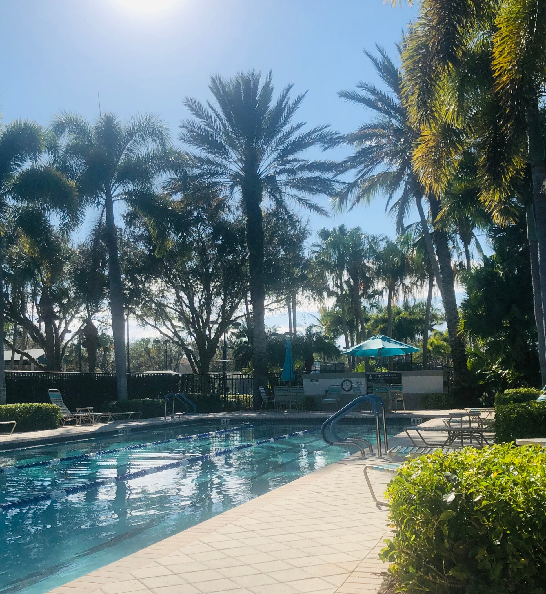 lap pool - 6068 Towncenter Cir