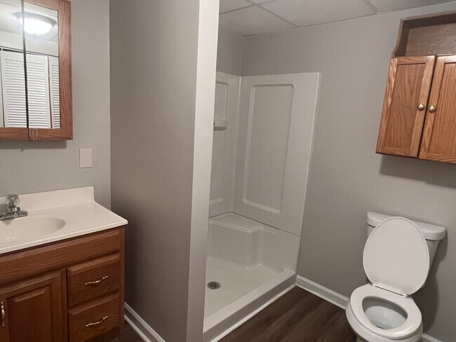 basement bathroom - 1221 Settlebench Ln NW