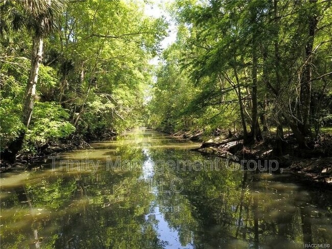 Building Photo - 217 S Tuck Point