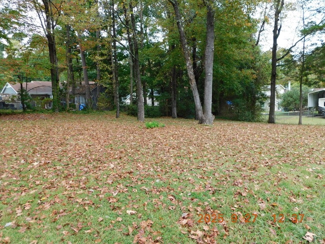 Backyard - 8 Druid Pl