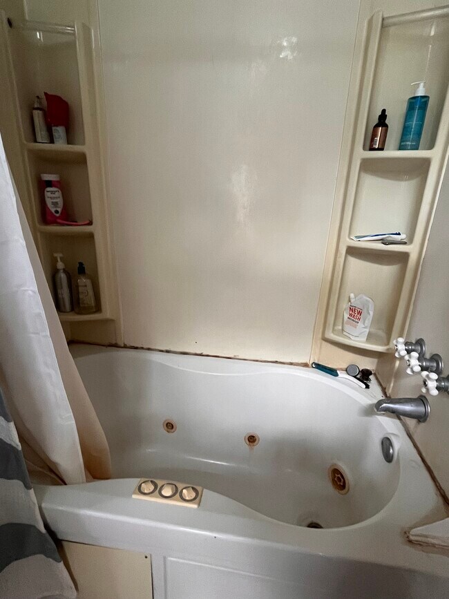 tub/shower - 2455 S 500 E