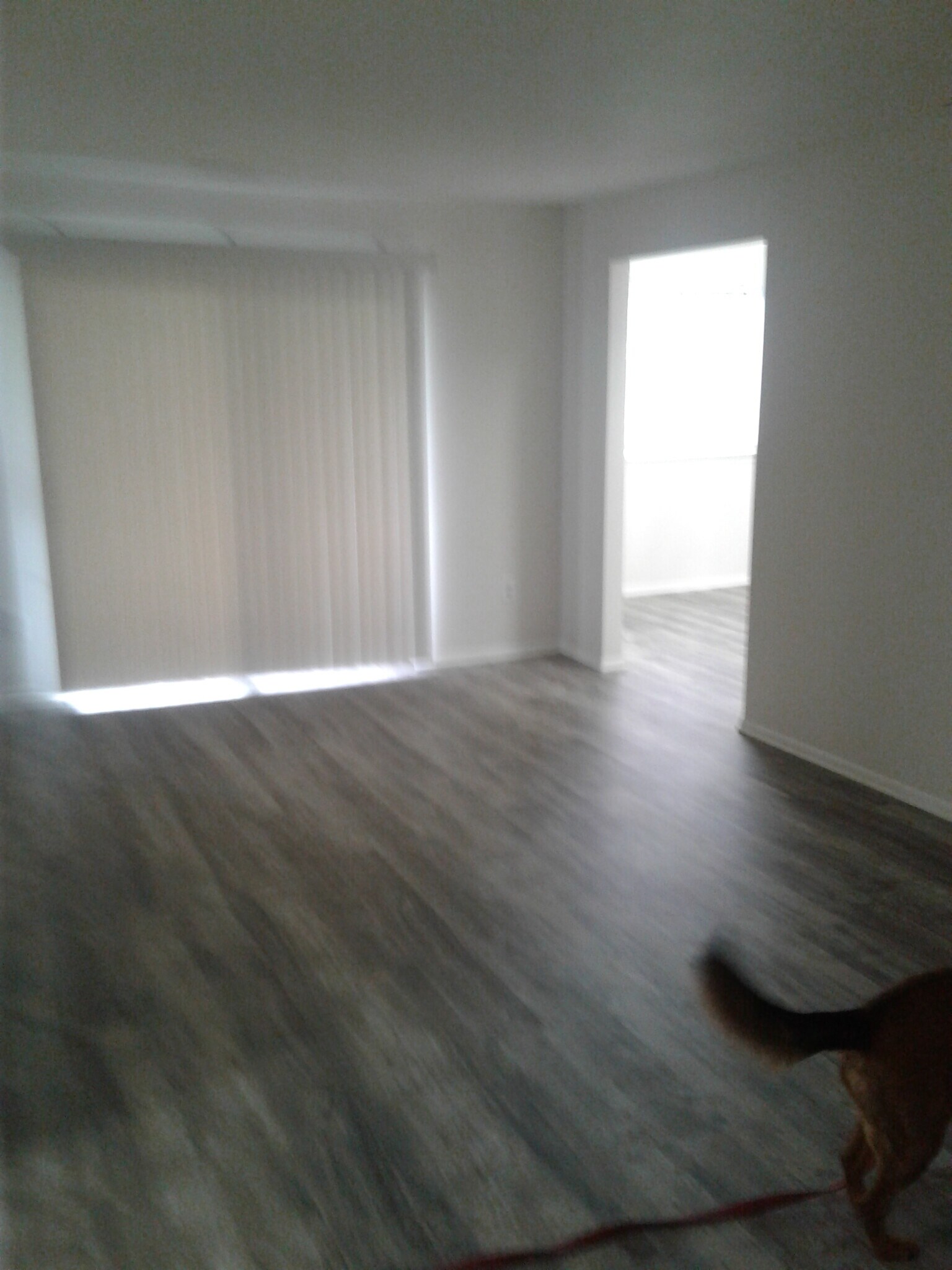 Living room - 1000 Spring Gate Rd