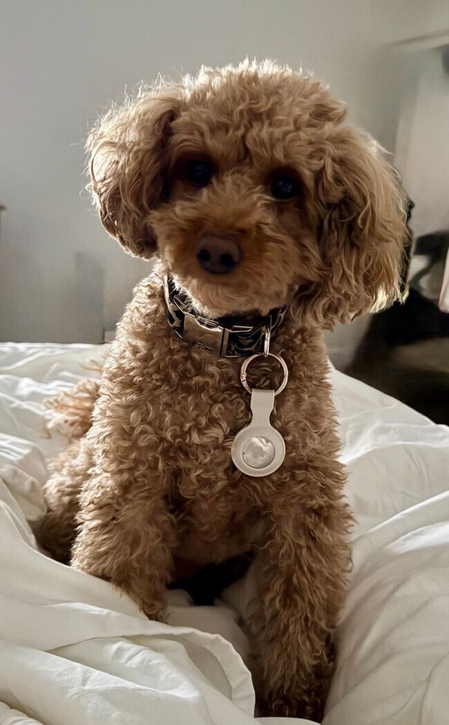 Building Photo - Nice two bedroom condo on one level in Hermitage