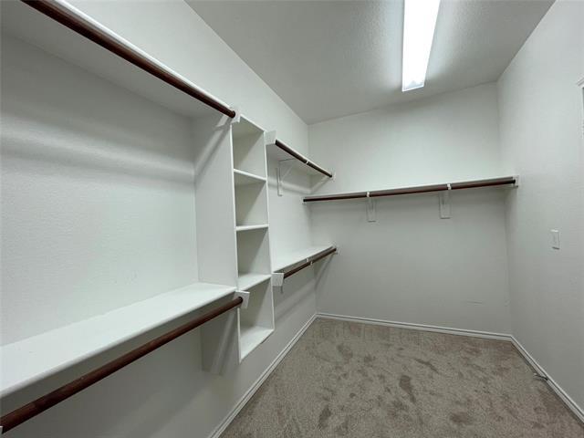 Building Photo - 1236 Woodbine Cliff Dr