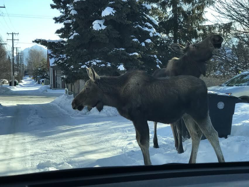 visitors - 343 W 12th Ave