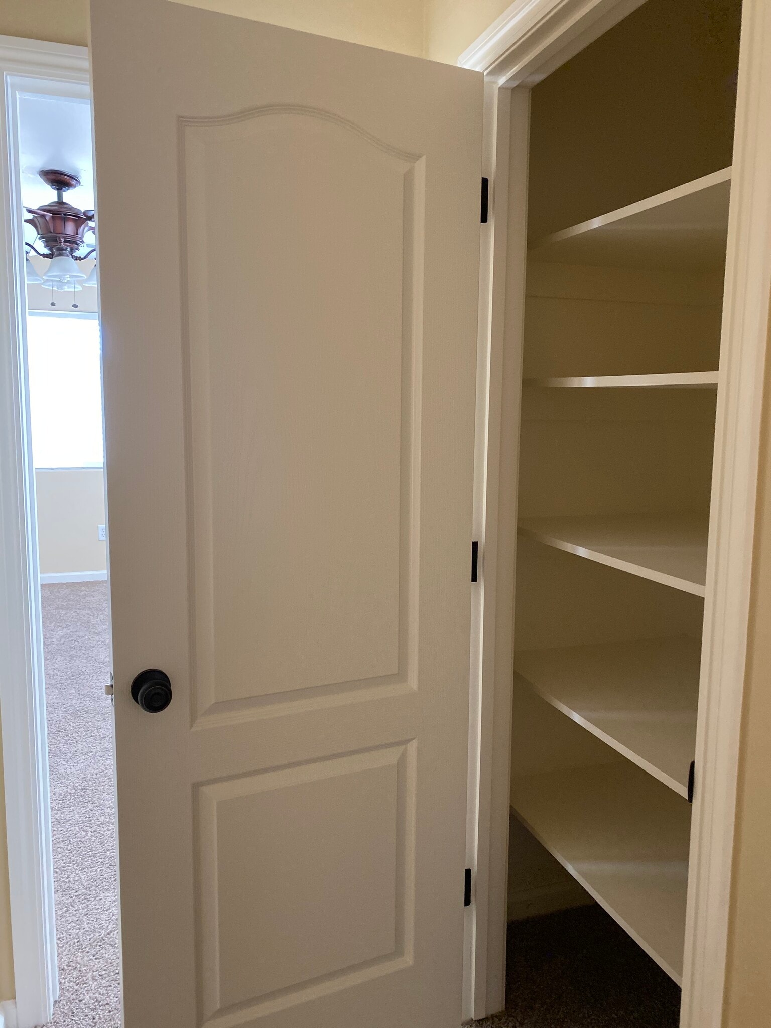 Linen closet - 11018 Sonoma Creek Ct