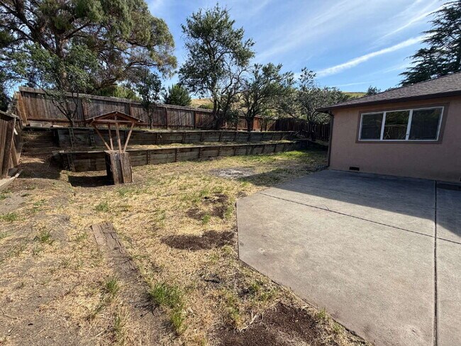 Building Photo - 1089 Honey Ct