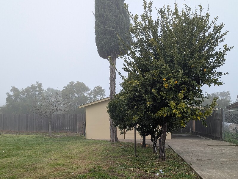 Building Photo - 1052 Thermalito Ave