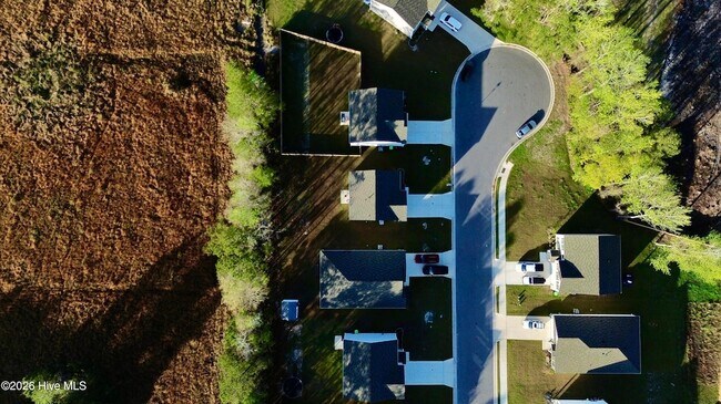 Building Photo - 4017 Calabash Ct