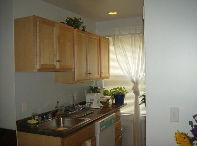 Building Photo - 56 Prentiss St