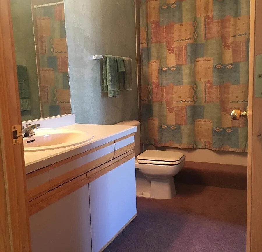 master bath with jacuzzi tub - 101 Blue Grouse Ln