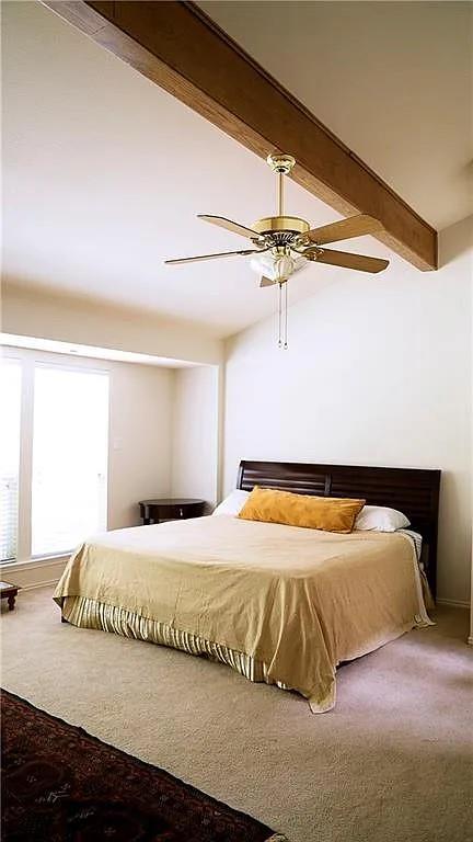 Building Photo - 3103 Mistywood Cir