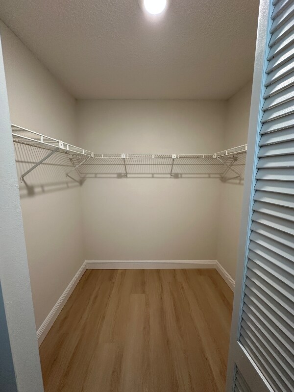 Building Photo - 2834 Wild Pepper Ave