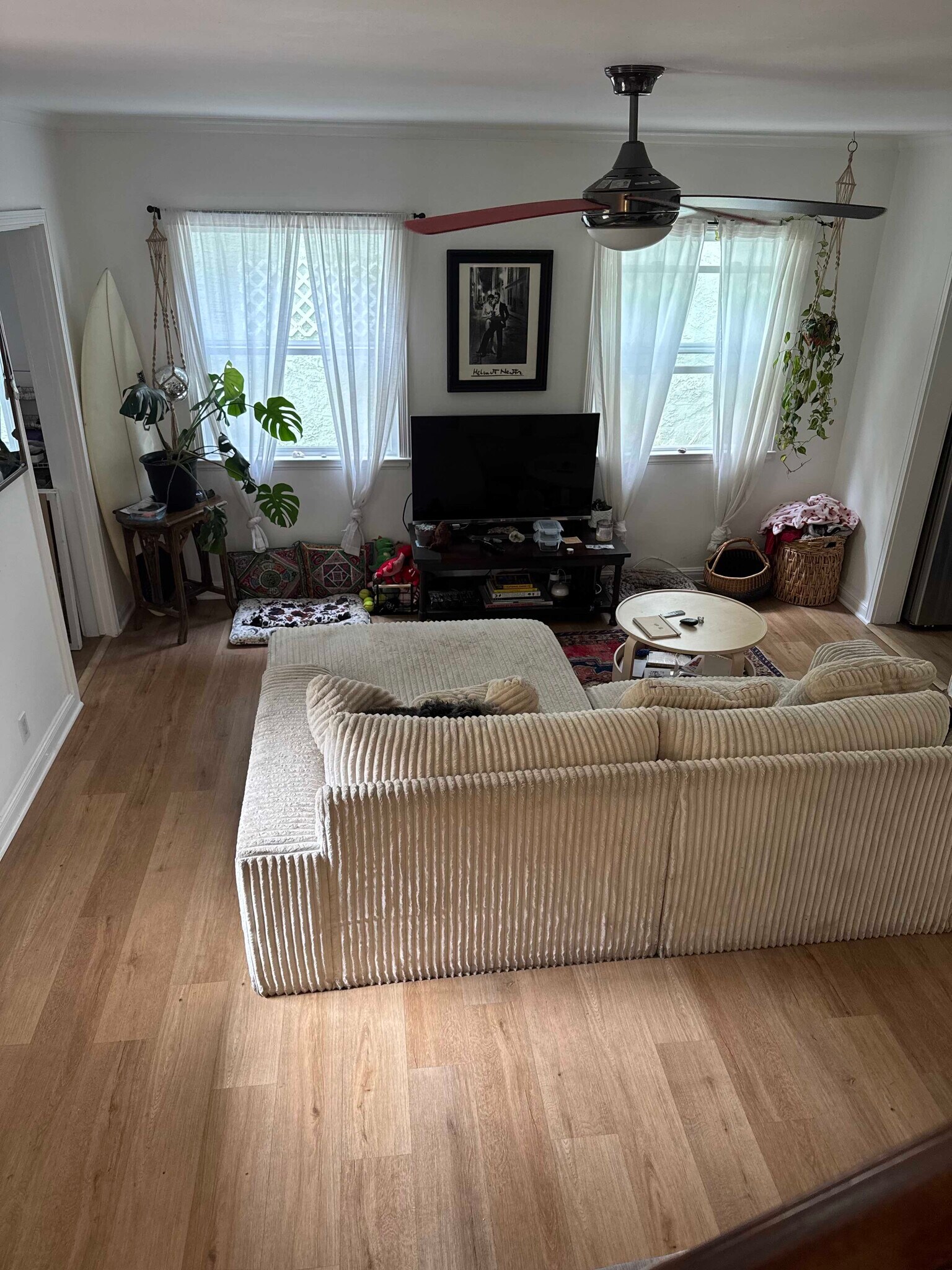share living-room - 835 Pacific St