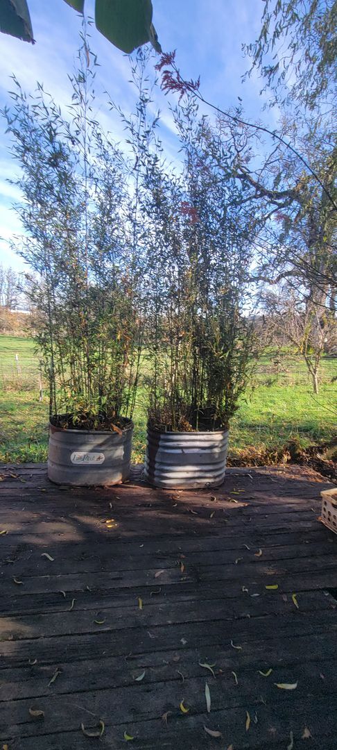 Building Photo - 125 S Ash St