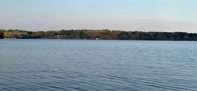 Building Photo - 1151 Lakeshore Dr