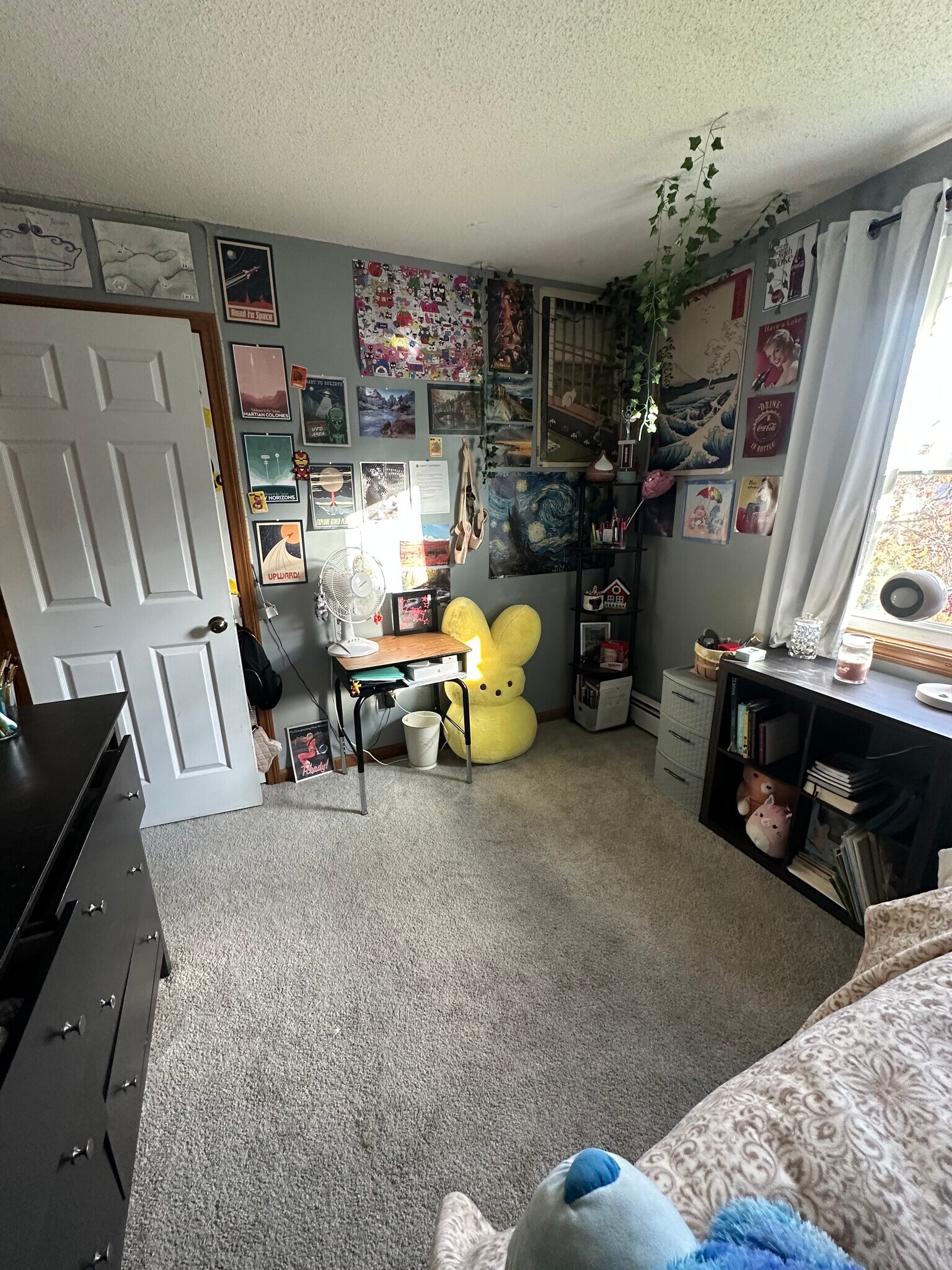 Building Photo - 29 Montano Rd